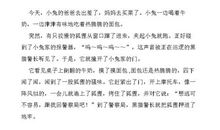 可爱的小狗看图写话