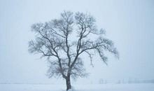 我喜欢冬天的雪