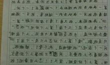 以树为话题800字作文