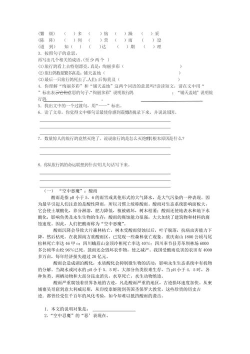 蜜蜂说明