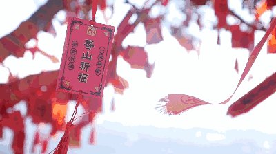 为了追求希望而没有遗憾