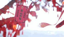 为追求希望而不留遗憾