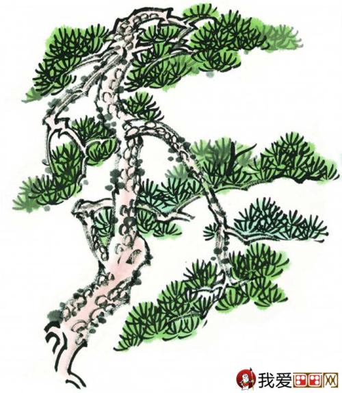 我爱你松