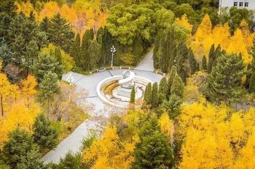 我从秋季旅行中学到的东西