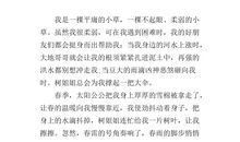 我是一棵小草作文