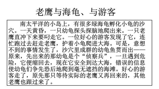 在西沙群岛写海龟的作品