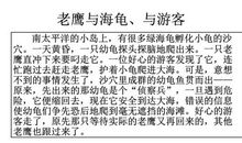 写西沙群岛的海龟作文