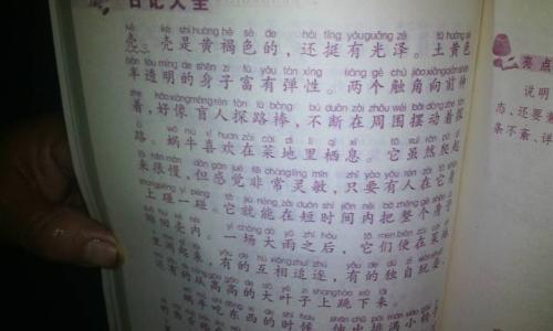 描述昆虫的成分