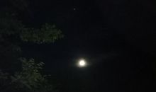 今年中秋月正圆