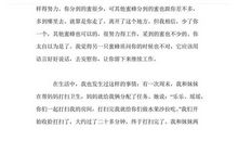 读《一只离群的蜜蜂》有感