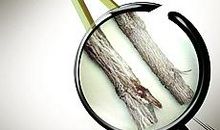 透过现象看本质