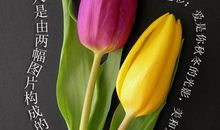 一位母亲的善良与爱，触动了我的心灵