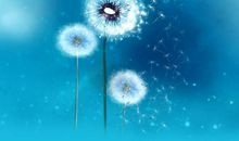 这次我真的错了吗