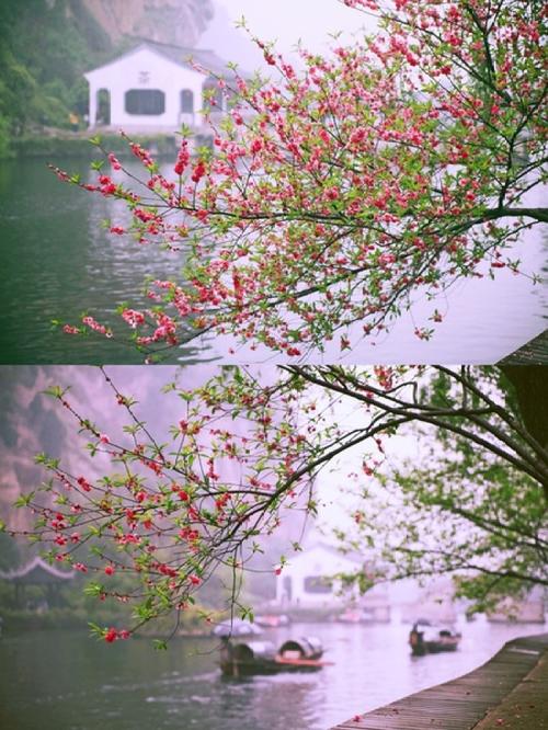 美丽的春天