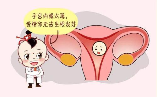 你好我一次