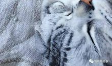 我是一个幸福的孩子