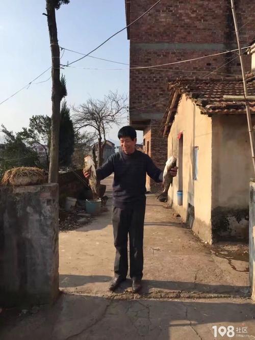 我的全能爸爸