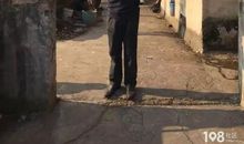 我的全能的爸爸