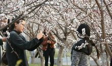 愿携手共赏繁花