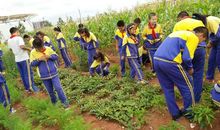 辛勤劳作，快乐成长