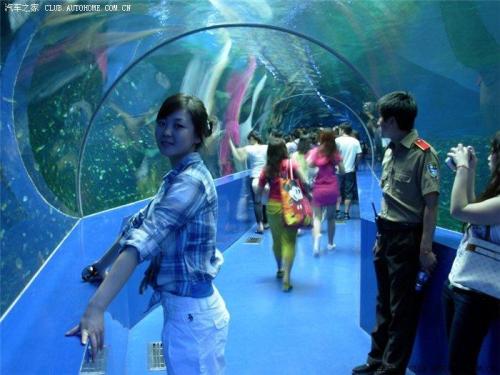 抚顺水族馆