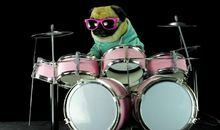 架子鼓的那些事儿