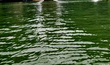 好山好水好情愁