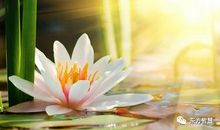 包容是一种美德