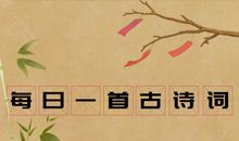 古诗词改变了我