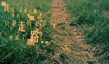 记忆深处的那条小路