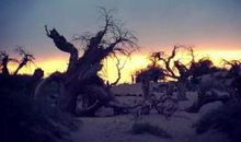 等待，只为遇见你的过