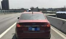 都是春困惹的祸