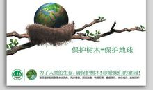 爱护树木人人有责