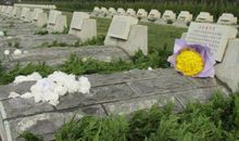 西海陵园祭英烈