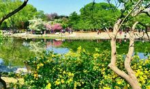 小公园的美景让我沉醉