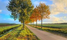 平淡的生活也是一种幸福