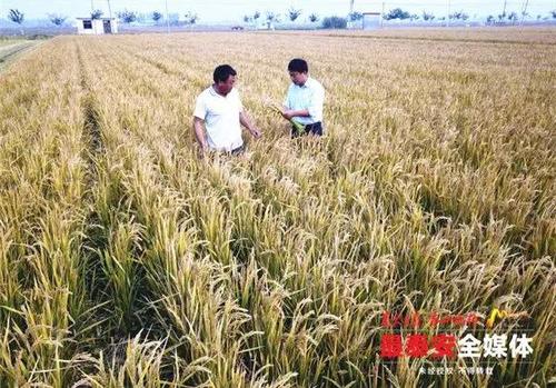 这个词在我耳边响起