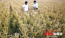 耳边响起那一句话