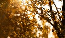 被阳光温暖着的地方