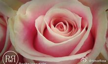 我渴望走进你心底