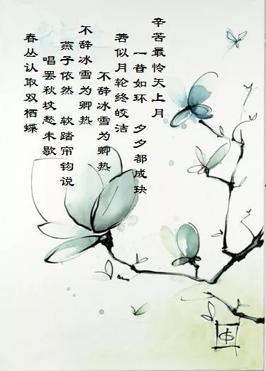 蝶恋花春景改写