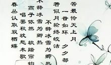 蝶恋花春景改写