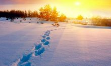 珍藏冬日里的阳光