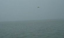 美在冬夜风雨中