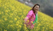 我在槐树下等你