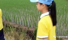 成长离不开磨砺