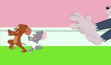 我与老鼠的相遇