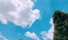 母校我永远的天空