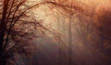 那束温暖的阳光