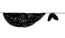 琢磨不透的气候变化